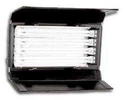 Fluorescent Light